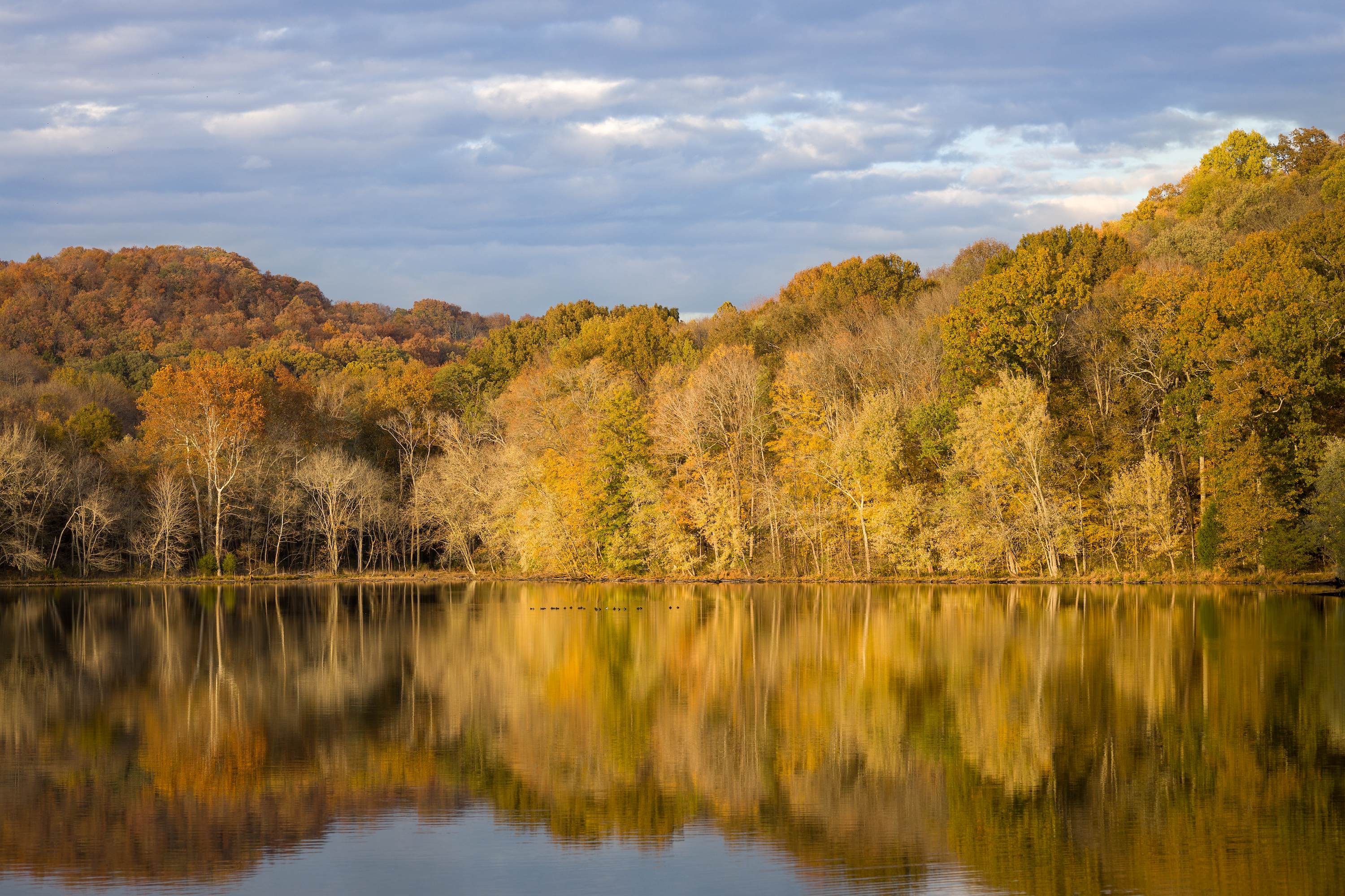 Radnor Lake